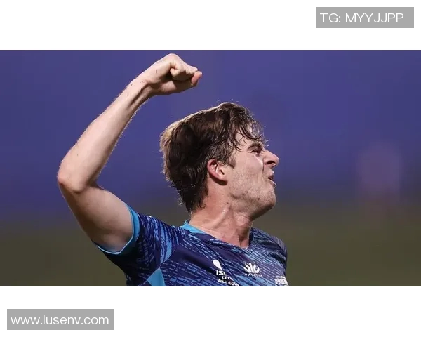 惠灵顿凤凰迎战墨尔本城全力争胜激战即将上演