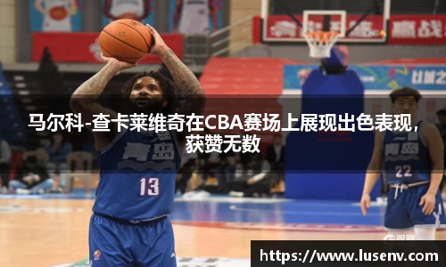马尔科-查卡莱维奇在CBA赛场上展现出色表现，获赞无数
