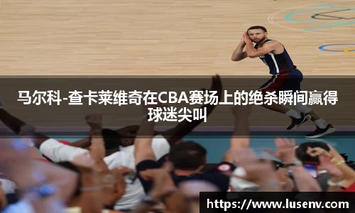 马尔科-查卡莱维奇在CBA赛场上的绝杀瞬间赢得球迷尖叫