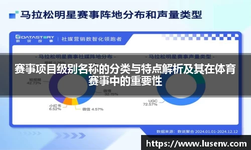 赛事项目级别名称的分类与特点解析及其在体育赛事中的重要性
