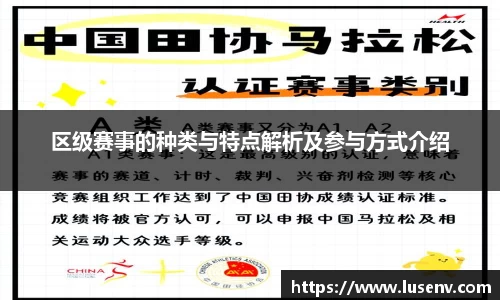 区级赛事的种类与特点解析及参与方式介绍