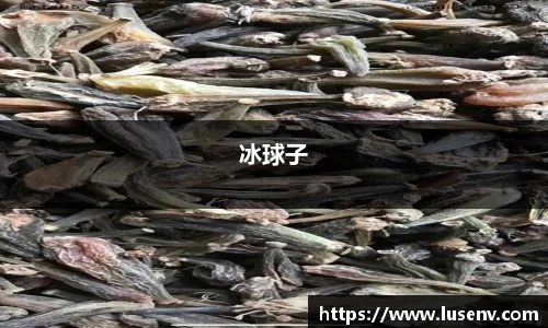 冰球子