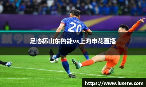 足协杯山东鲁能vs上海申花直播