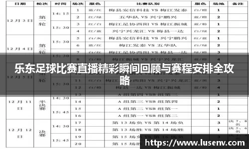 乐东足球比赛直播精彩瞬间回顾与赛程安排全攻略