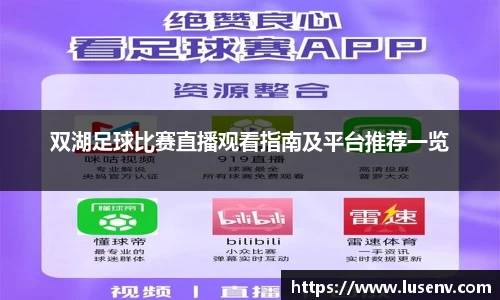 双湖足球比赛直播观看指南及平台推荐一览